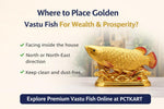 Where to Place Golden Vastu Fish for Wealth & Prosperity? - Pctkart
