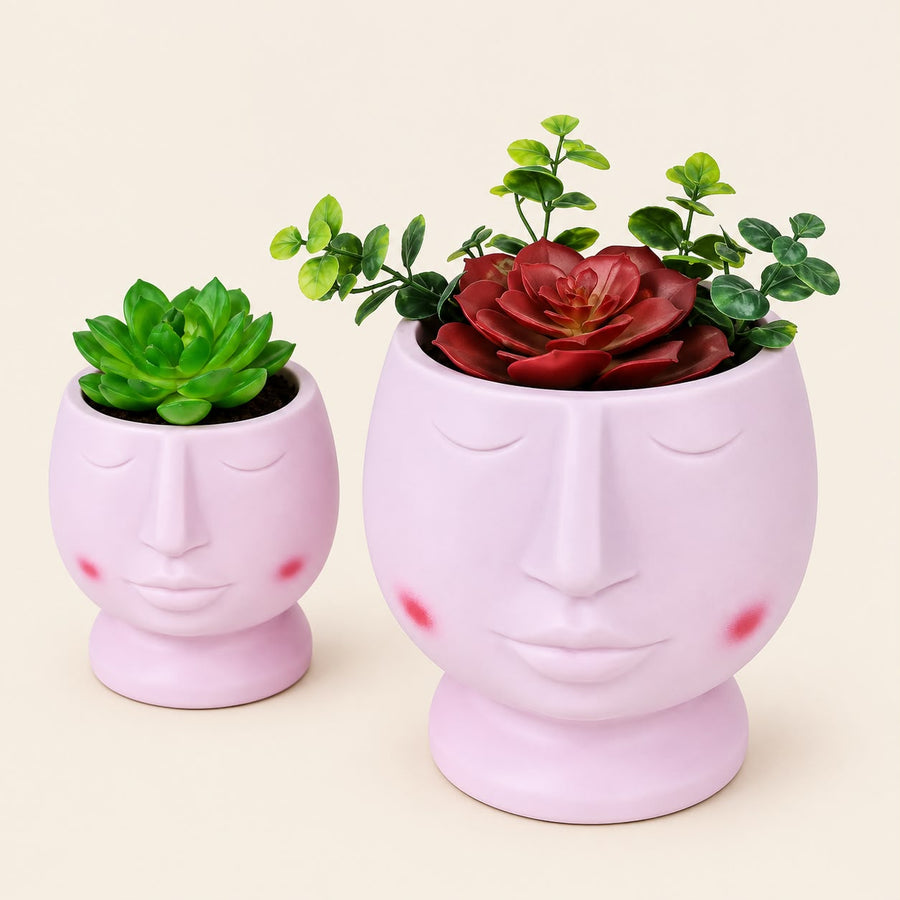 Cute Face Shape Succulent Planter Set of 2 | Decorative Flower Pot for Home Decor, Desk Decor & Garden Gifting
