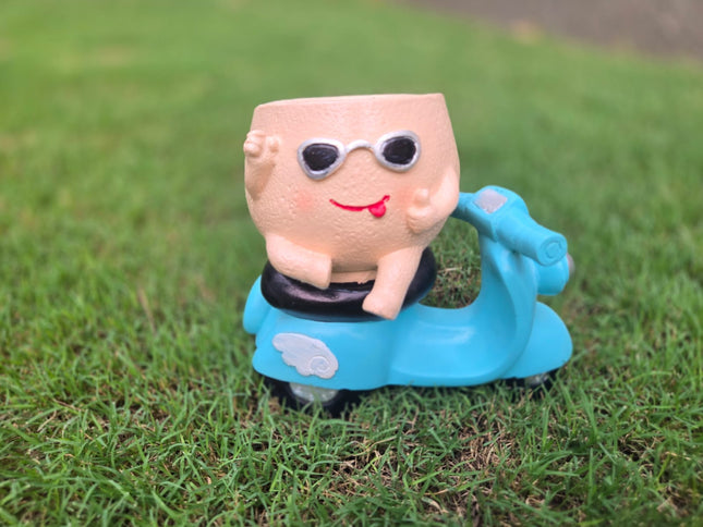 Cute Scooter Face Planter Pot for Indoor Decoration
