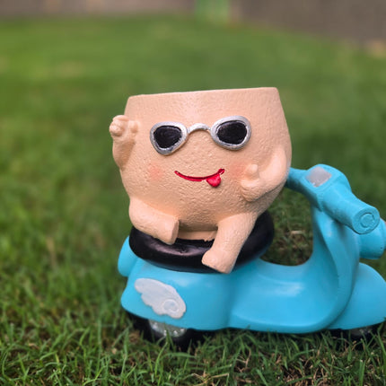 Unique Face Planter for Succulent Plants