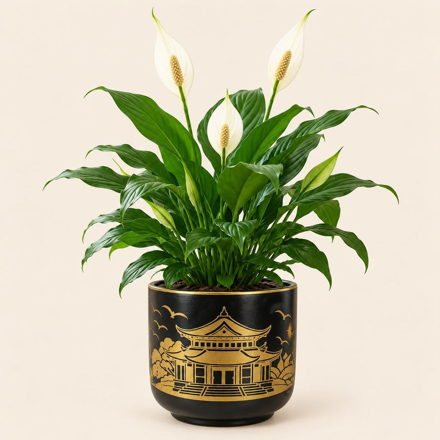 Handpainted Black Gold Ceramic Planter Pot with Drainage Hole | 6 Inch Decorative Indoor Plant Pot for Home Decor & Gifting