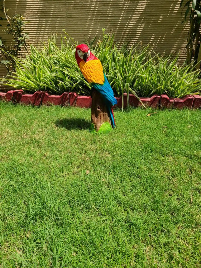 Colorful Macaw Parrot Garden Statue for Outdoor Garden Decor | PCT Kart - Pctkart