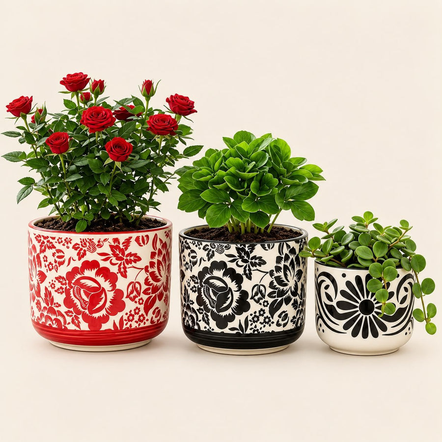 Set of 3 Floral Ceramic Planters (6 Inch, 5 Inch, 4 Inch) | Decorative Indoor Plant Pots for Home & Garden Decor Pack of 3