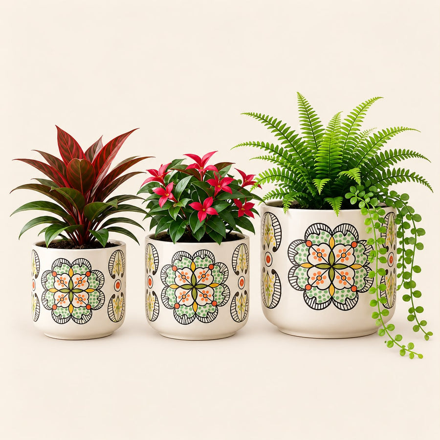 Set of 3 Floral Ceramic Planters with Ivory Plates (6 Inch, 5 Inch, 4.5 Inch) | Decorative Indoor Plant Pots for Home Decor, Garden Decor & Gifting