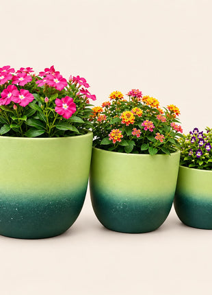 Set of 3 Green Gradient Ceramic Planter Pots  Indoor Plant Pots for Home & Office Decor