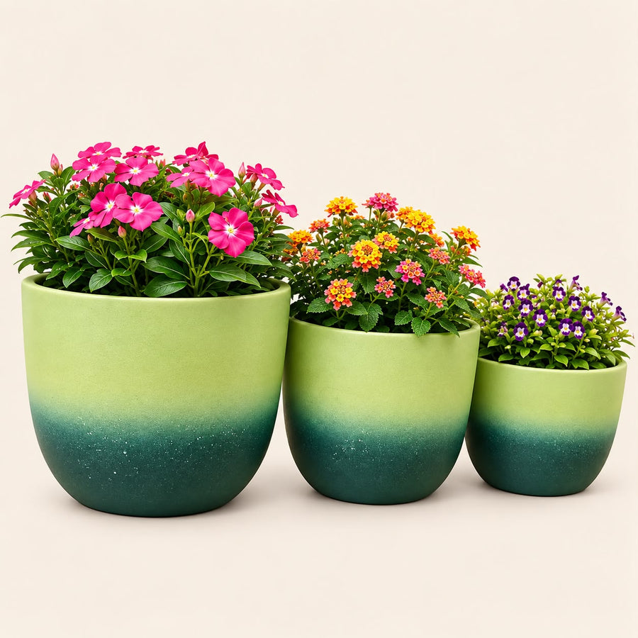 Set of 3 Green Gradient Ceramic Planter Pots | Indoor Plant Pots for Home & Office Decor