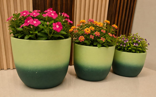 Set of 3 Green Gradient Ceramic Planter Pots | Indoor Plant Pots for Home & Office Decor - Pctkart
