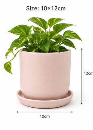 Pink Ceramic Planter Pot with Tray (10 x 12 cm) | Indoor Plant Pot for Home & Office Decor - Pctkart