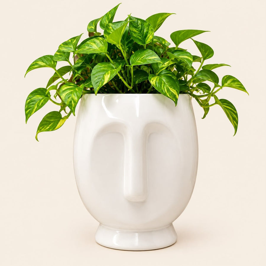 White Face Ceramic Planter Pot for Indoor Plants | Decorative Ceramic Pot for Home Decor & Garden Decor | 15cm