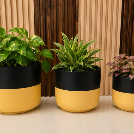 Decorative Ceramic Pots for Home Decor and Balcony Decoration