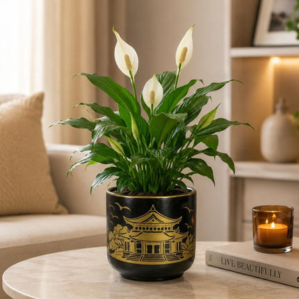 Handpainted ceramic planter pot with drainage hole for indoor plants and home decor
