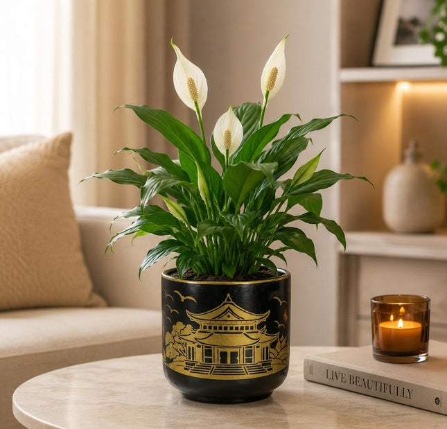 Handpainted ceramic planter pot with drainage hole for indoor plants and home decor