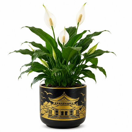 Decorative handpainted ceramic planter for indoor gardening and gifting