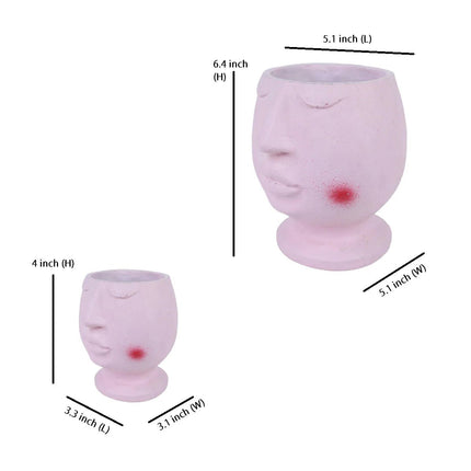 Cute Face Shape Succulent Planter Set of 2 | Decorative Flower Pot for Home Decor, Desk Decor & Garden Gifting - Pctkart
