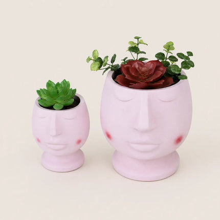 Cute Face Shape Succulent Planter Set of 2 | Decorative Flower Pot for Home Decor, Desk Decor & Garden Gifting - Pctkart