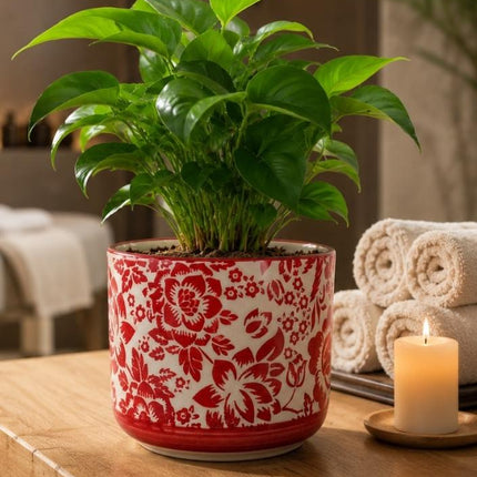 Ceramic flower pots for home decor and gifting