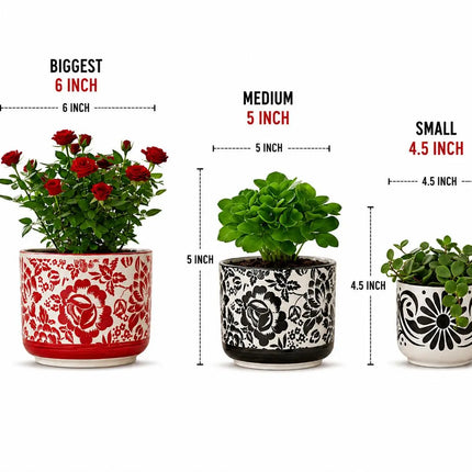 Set of 3 ceramic flower pots in 6 inch, 5 inch and 4 inch sizes for table decor