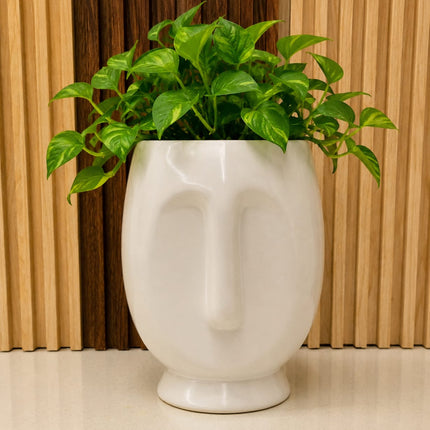 White Minimalist Face Planter Dimensions 15x12cm