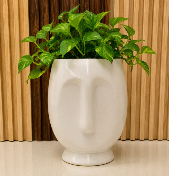 White Face Ceramic Planter Pot for Indoor Plants | Decorative Ceramic Pot for Home Decor & Garden Decor | 15cm - Pctkart
